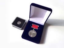 Серебряная медаль РААСН 
